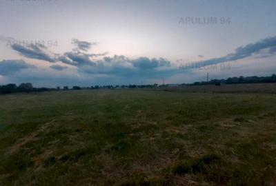 Teren aproape de Bucuresti langa padure - 3