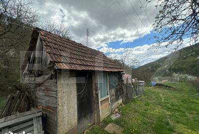 Casă cu 4 camere cu Teren 12186 Mp în Rapoltu Mare - 16