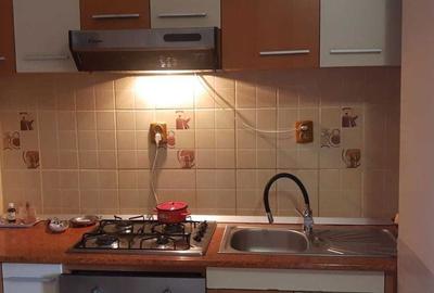 Apartament cu 3 camere decomandat în Nufărul - 11