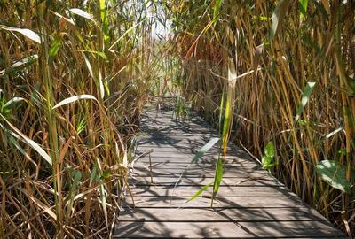 Casă cu 7 camere cu Teren 1798.1600341797 Mp în Izvorani - 14