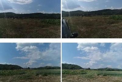 Cota de 1/2 din teren 2356 mp om. Mihaesti, jud Valcea - 4