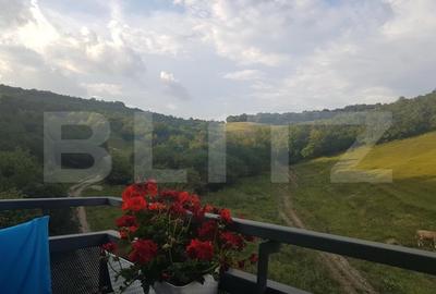 Apartament cu 2 camere decomandat, mobilat în Grigorescu - 14