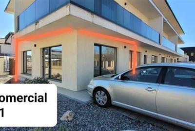 Trei spatii comerciale cu vitrina,Selimbar, str. Triajului - 2
