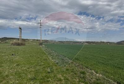 Teren Construcții extravilan de 8600 mp, în Luna de Jos - 13