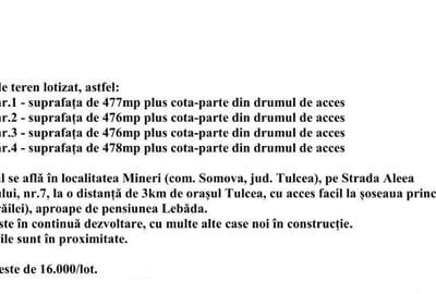 TEREN MINERI -LOTIZAT - 3