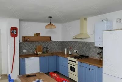 Casa de inchiriat in Talmaciu - 13