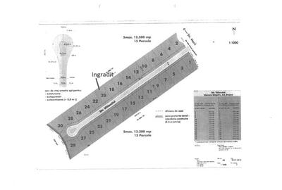Teren Construcții intravilan de 13300 mp, în Nord-Est - 2