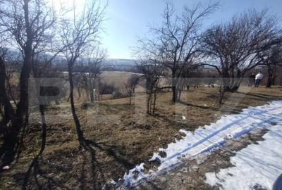 Teren de 2500 mp, în Central - 4