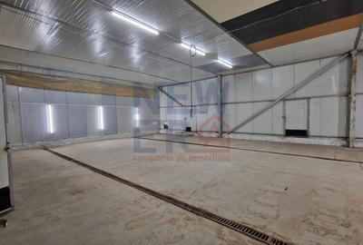 Platforma cu 2 hale de vanzare in Braila sau preluarea afacere - 2