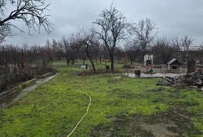 Casă cu 2 camere în Central - 7