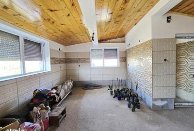 Casă cu 5 camere cu Teren 1079 Mp în Ghioroc - 2