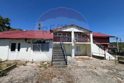 Casa / Vila cu 5 camere de vanzare - 15