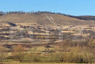5 terenuri extravilane agricole cu suprafata totala de 13.37 - 5