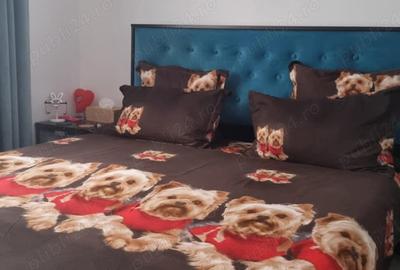 Apartament 2 camere-etaj 1-renovat 2021-Profi Standard - 4