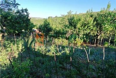 EXCLUSIVITATE! Casa+teren si cabana de lemn zona Naeni - 22