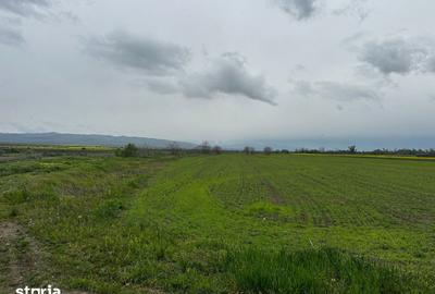 Teren de 2500 mp, în Câmpineanca - 3