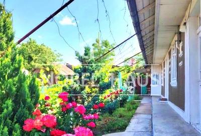 Casa la tara si teren intravilan, in sat Carja, jud Vaslui - 4