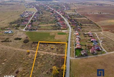 Spațiu comercial, în Pișchia - 4