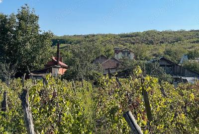 Casă cu 4 camere cu Teren 1150 Mp în Podari - 9