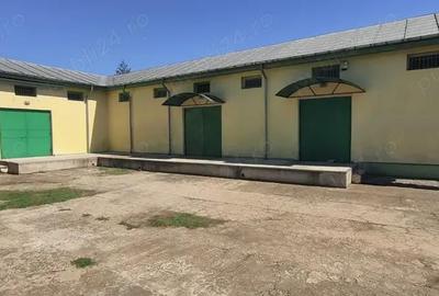 Spațiu comercial, de 300 mp, în Central - 3