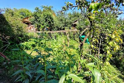 Casă individuală cu 3 camere cu Canalizare în Dâmbul Rotund - 12