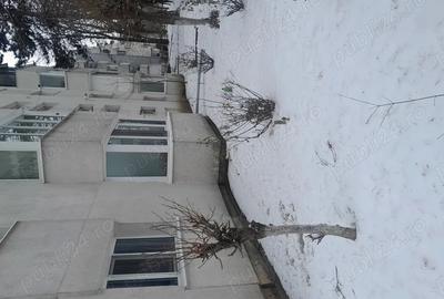 Apartament cu 2 camere nedecomandat în Central - 1