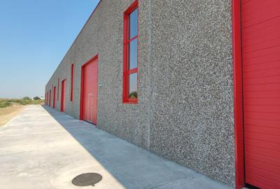 Chitila-Hala 600 mp, structura de beton armat, pereti din prefabricate. - 2