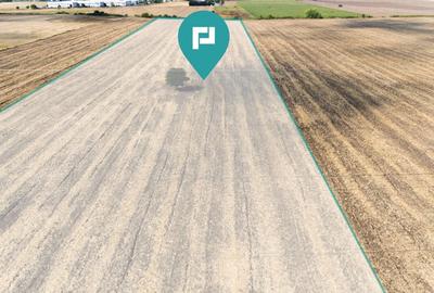 Oportunitate! Teren 4.345 mp - Șagului Oportunitate! Teren 4.345 mp - Șagului - 6