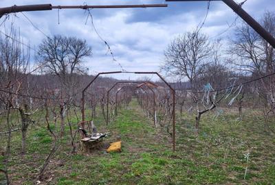 Casă cu 3 camere cu Teren 2800 Mp în Răcoasa - 1