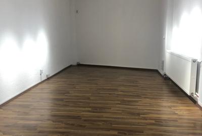 De inchiriat vila independenta pe Vasile Lascar la 5 min de Sos. Stefan cel Mare - 2