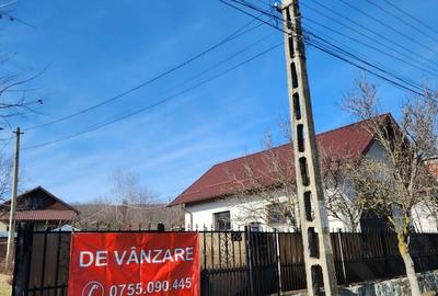 Casă individuală cu 4 camere cu Teren 3000 Mp în Văleni-Podgoria - 1