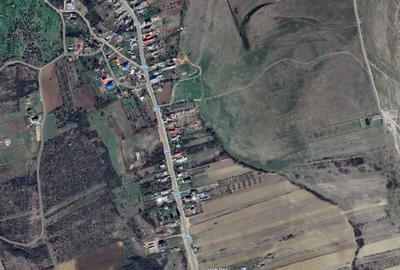 Teren de 14000 mp, în Podgoria - 3