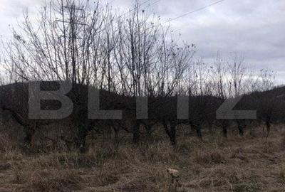 Spațiu comercial, în Viforâta - 2