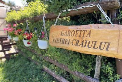 Pensiune de vânzare in vârf de munte la Ciocanu - lângă Sirnea - 2