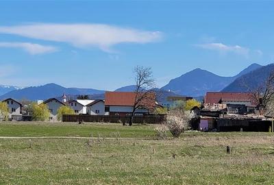 Teren Construcții intravilan de 49906 mp, în Stupini - 3