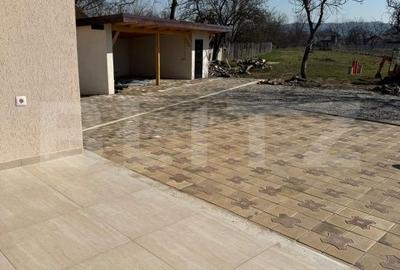 Casă cu 7 camere cu Teren 3200 Mp în Băcia - 8