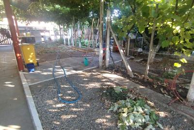 Casă individuală cu 2 camere cu Canalizare în Palazu Mare - 6