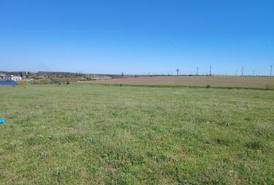 Teren agricol extravilan de 40000 mp, în Central - 8