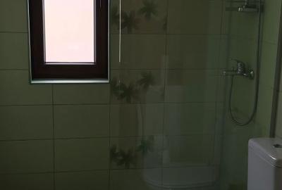 Apartament cu 2 camere decomandat în Dosu Bricii - 3