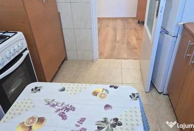 Apartament cu 2 camere semidecomandat în Gojdu - 10