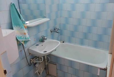 Aprtament 2 camere, zona Bulevardul Grivitei, parter , mobilat si utilat partial - 4