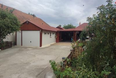 Sanadrei, Casa individuala, Suprafata teren generos, Garaj, terase si anexe - 2