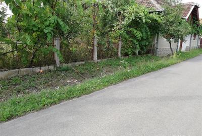 Casă cu 4 camere cu Teren 1700 Mp în Petid - 2