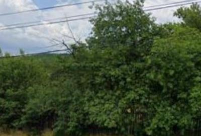 Teren intravilan Furesti, jud. Arges - ID R1965298 - 4