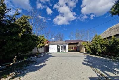 Mioveni - Cosesti - stradal, IDEAL  LOCUINTA/SPATIU COMERCIAL - teren 1250 mp - 1