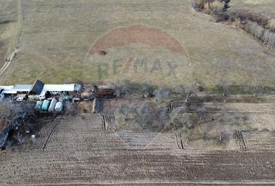 Teren agricol intravilan de 2592 mp, în Lipoveni - 14