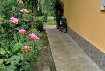 Casă cu 3 camere în Drăgășani - 6