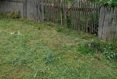 2 case de vinzare IN BOIAN - 1