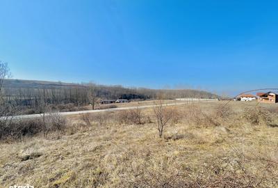 Spațiu comercial, în Teleac - 5