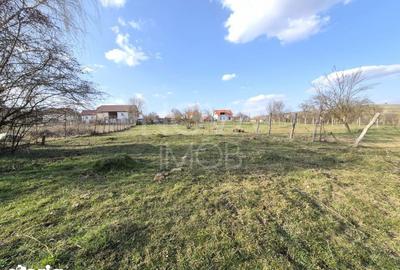 Casă cu 3 camere cu Canalizare în Marpod - 12